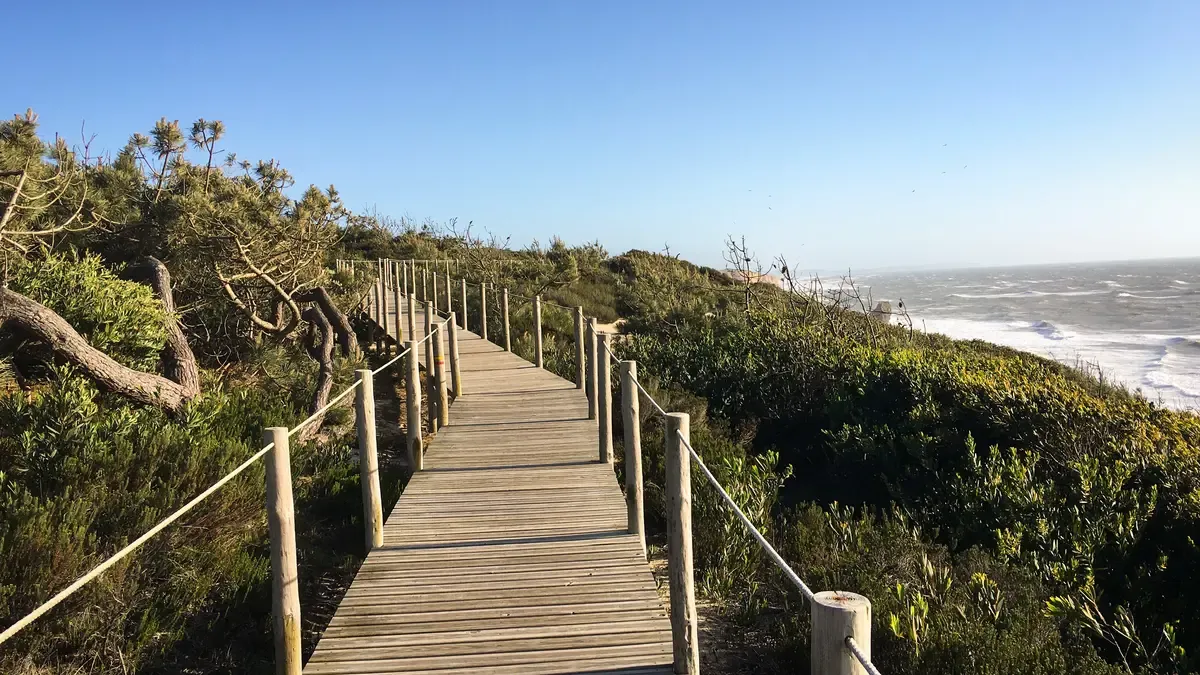 "Paredes Panoramic Boardwalk"